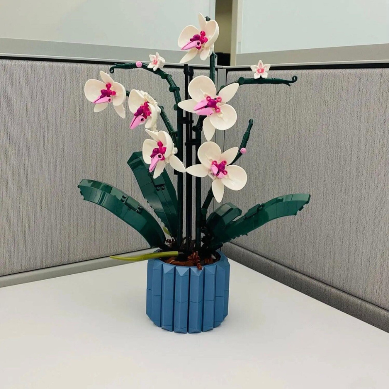 Orchids | 711Piezas