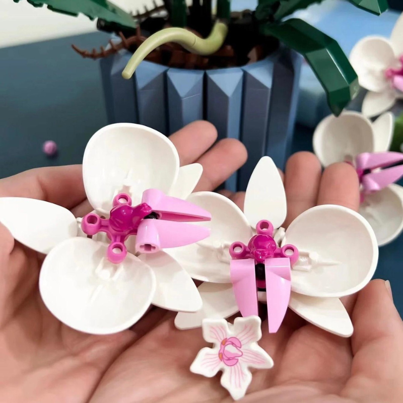 Orchids | 711Piezas