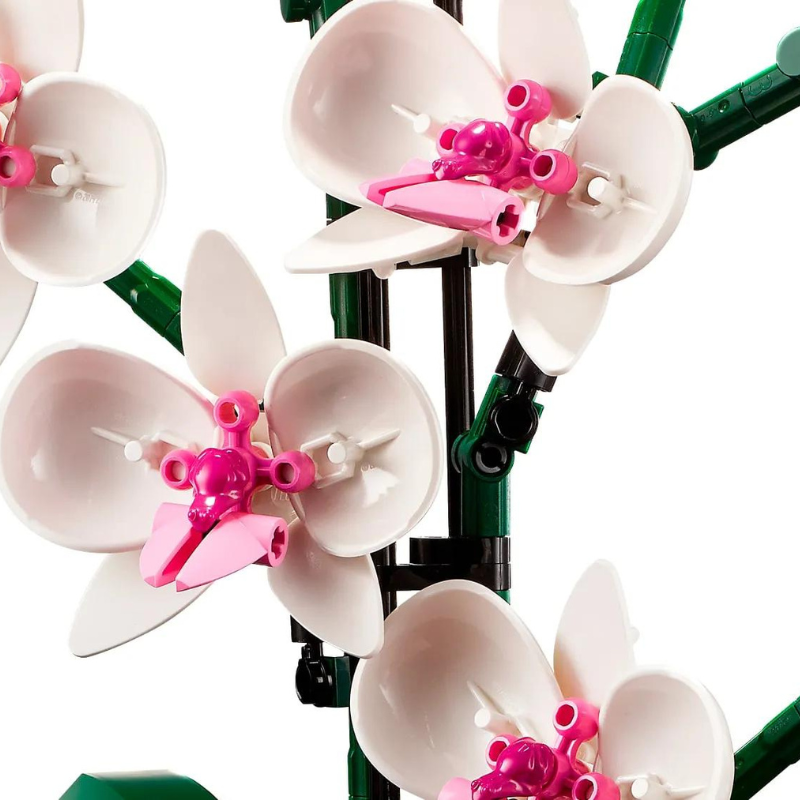 Orchids | 711Piezas