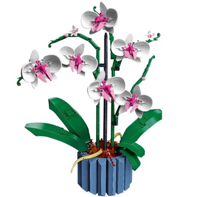 Orchids | 711Piezas